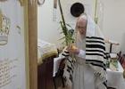 Main image for  הושענא רבה תשפ"ז ביי כ"ק אדמו"ר מליסקא שליט"א