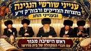 וְהָיָה כְּנַגֵּן הַמֲנַגֵּן: הגאון ר' שאול אלתר שליט"א ביים סעודה מיט די מקהלת הקהילה - א שמועס ארום נגוני קודש- סוכות תשפ"ז