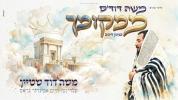 Main image for  פישי מגיש: ממקומך מלכנו | משה דוד'ס ממקומך(1)בניגון דינוב