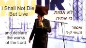 Main image for  מוטי שטיינמץ מספר על נס ושר פשוט וואו