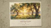 Main image for דוד בן ארזה - חתונה ביי זריחה
