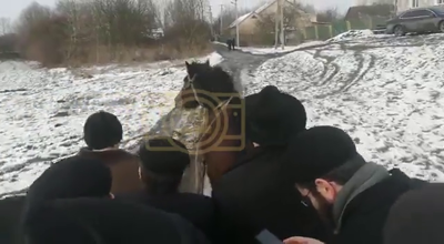 אידן ביים פארן אויף פערד אין וואגן צום הייליגן בעל התניא אין האדיטש 