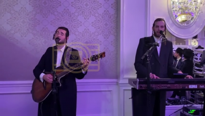 היכל הנגינה מיט דובי מייזעלס 