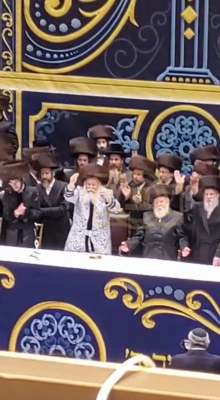 ערשטע בילדער משמחת החתונה בבית באבוב 
