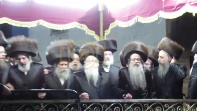 שמחת החתונה פון נין הרה"ק מצאנז קלויזענבורג זצ"ל 