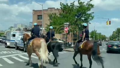 פאליצייאישע פערד ביים קורסירן בארא פארק נאך די פארמערטע אנטיסעמיטישע אטאקעס 