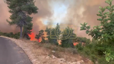 צוויי וואלד פייערן האבן אויסגעבראכן נעבן ירושלים 