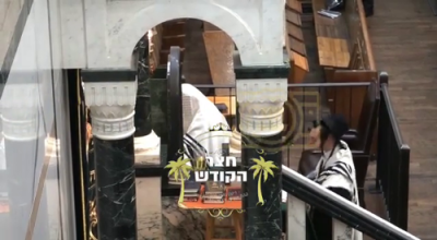 שבעה עשר בתמוז ביי כ"ק אדמו"ר מסאטמאר שליט"א 