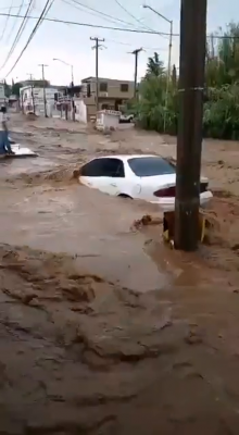 פארפלייצונגען אין מעקסיקא 