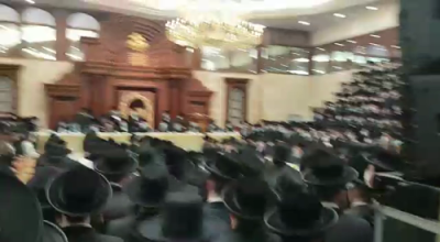 שמחת התנאים פון בן כ"ק אדמו"ר מדזיקוב שליט"א עם נכדת כ"ק אדמו"ר מקארלין סטאלין שליט"א