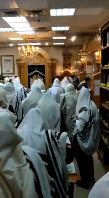 ראש חודש שבט אין אומאן 