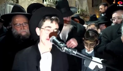 הארצרייסענדע לוי'ה פון די צוויי קליינע קינדערלעך פון משפחת פלאי 