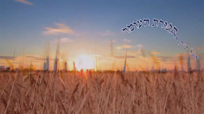 50 אדמורים ורבנים בספירת העומר 