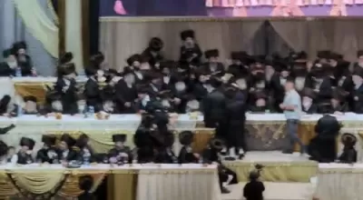 ערשטע בילדער: שמחת החתונה בחצר הקודש בעלזא חלק ב' 