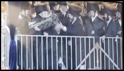 ערשטע בילדער: מעמד החופה בשמחת בית בעלזא 