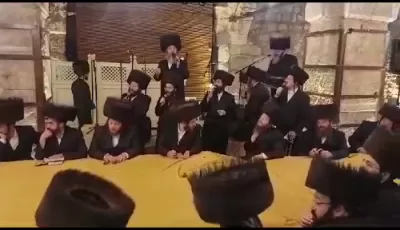 שלש סעודות ביי כ"ק אדמו"ר מוויזניץ שליט"א אין די מערת הכותל 