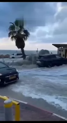 היינט צופרי אין נתניה 