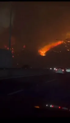 צענדליגע זענען שוין אומגעקומען פון די ריזיגע וואלד פייערן אין טשילע 