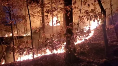 מאנסי: א העלישע וואלד פייער האט נעכטן אויסגעבראכן און זיך בליץ שנעל פארשפרייט צו ארומיגע הייזער, מצילי אש ד'ראקלענד מיט די הילף פון חבירים האבן עטוואס געהאלטן די פייער אין קאנטראל ביז די לאקאלע פייער דעפ' איז אנגעקומען אויפן סצענע.