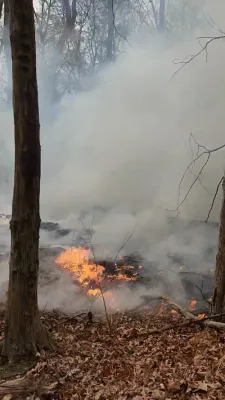 פילע עמערדזשענסי אגענטורן זענען זיך צוזאמענגעלאפן צו א העלישע וואלד פייער אין מאנסי אויסזארג עס זאל זיך נישט צעשפרייטן ווייטער.