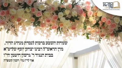 פולע ווידיאו פון שמחת השבע ברכות פון בן הרה"ג רבי יצחק יוסף שליט"א 