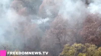 א העלישע וואלד פייער ברענט אויפן הארלעם ריווער דרייוו הארט נעבן די וואשינגטאן בריק.