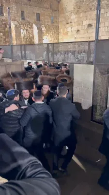 כ"ק אדמו"ר מוויזניץ שליט"א ביים כותל המערבי היינט מוצש"ק 