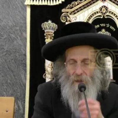 הרה"צ ר' אלימלך בידערמאן שליט"א - פרשת ויחי