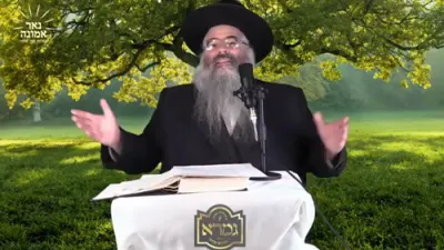 באשעפער פירט מיינע שידוכים איך בין זייער רואיג!! | הרב אברהם מרדכי מלאך