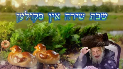 שבת שירה אין סקולען