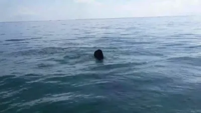 אין קאסטא ריקאו זענען געפונען געווארן קנעכט שיפן פון די 18'ער יארן