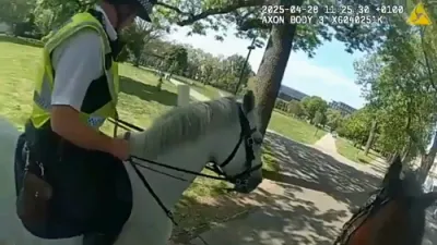 צוויי פאליצייאישע פערדן זענען פארוואונדעט געווארן אינמיטן די ארבעט