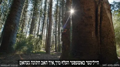 ס'איז מיר נישט גוט אינדערהיים!!!