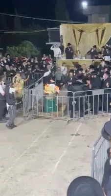 הדלקה בחצר הקודש זוועהיל