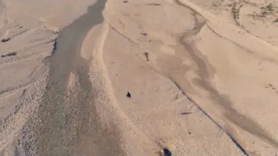 אינטערסאנטע עירבייק פון וואלאונוט