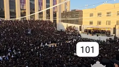 פולע בילדער און ווידיאוס פון די הכנסת ספר תורה אין בעלזא ערב יו"ט