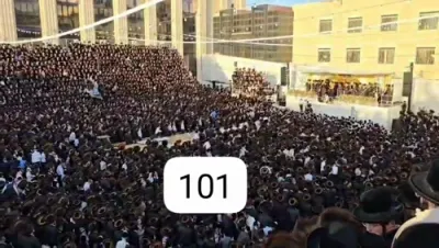 פולע בילדער און ווידיאוס פון די הכנסת ספר תורה אין בעלזא ערב יו"ט