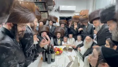 נאך בילדער פון די ימי השמחה בחצה"ק מאקאווא-בעלזא 