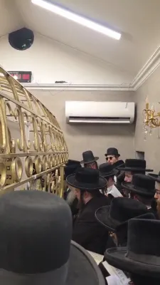 כ"ק אדמו"ר מטאהש שליט"א באזוכט אין שטאט טאהש לרגל יומדה"ק פונעם שרף פון טאהש זי"ע