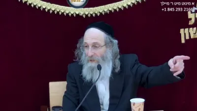 א מינוט מיט ר' מיילך שליט"א-ערש"ק חקת - ח' תמוז תשפ"ה