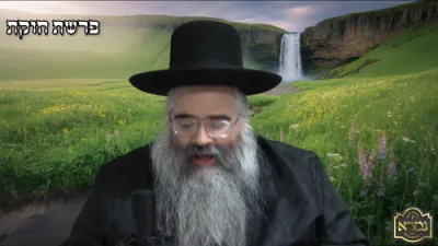 הערליכע שיעור פרשת חוקת פון הרה"ג רבי אברהם מרדכי מלאך שליט"א 