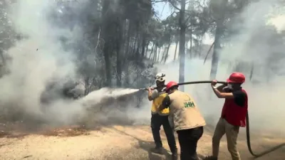 מען ארבעט שווער צו פארלעשן די ווילדע פייערן אין סיריע 