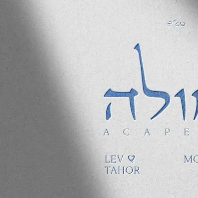 לב טהור & מרדכי שפירא - גאולה