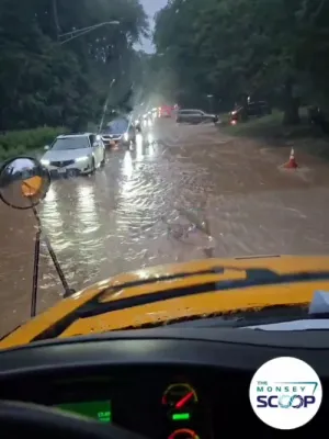 פולע ווידיאוס פון די שרעקליכע פארפלייצונגען אין די מאנסי אומגעגנט