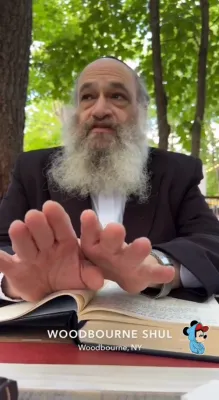 פרישע בילדער און ווידיאוס פון ניקלשבורג 