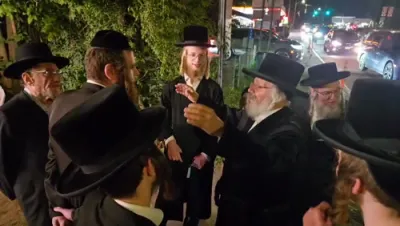 ניקלשבורג'ע אקטיוויטעטן 