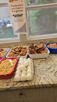 ניקלשבורג'ע אקטיוויטעטן 