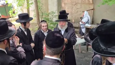 ניקלשבורג'ע אקטיוויטעטן 