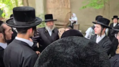 ניקלשבורג'ע אקטיוויטעטן 