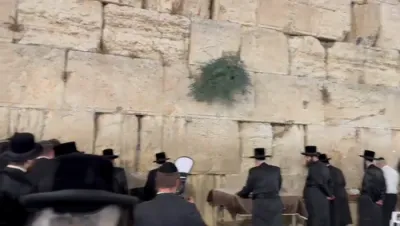 הרה"צ רבי אהרן מענדיל טווערסקי שליט"א בנו בכורו פון כ"ק אדמו"ר מסקווירא שליט"א ביים כותל המערבי 